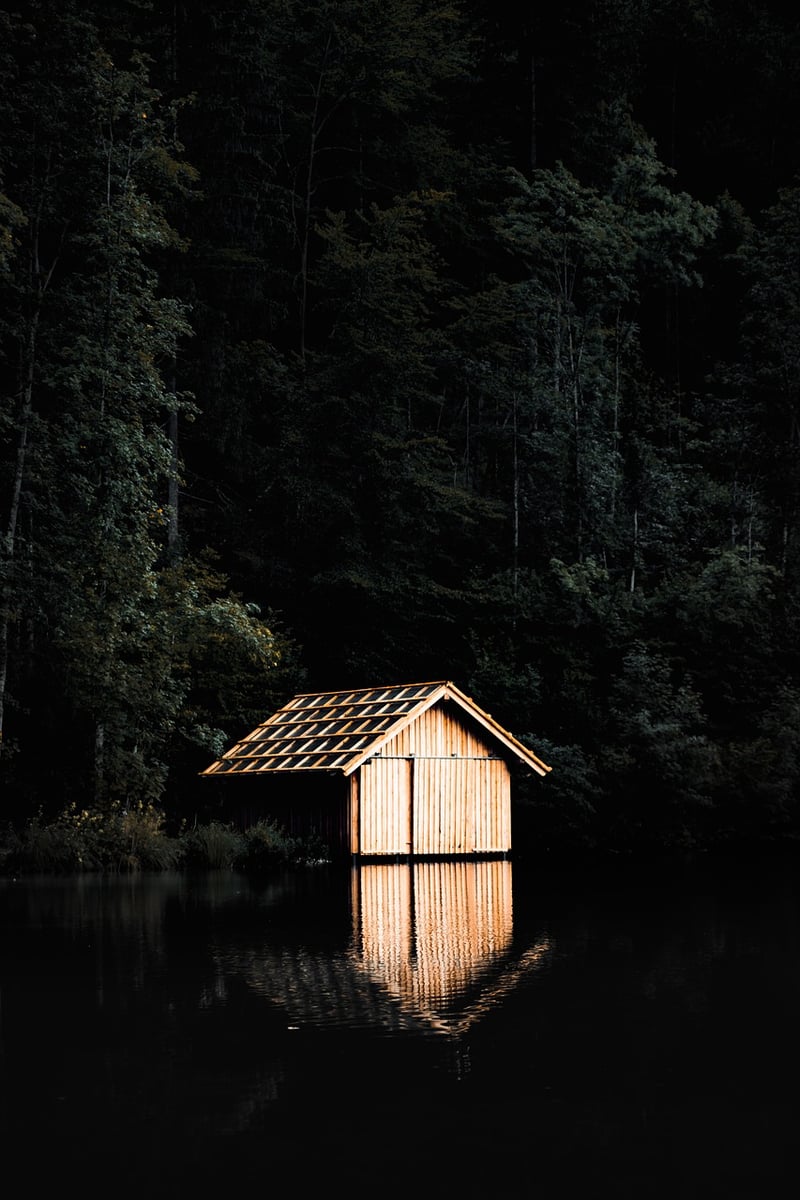Cozy Cabin in the Woods