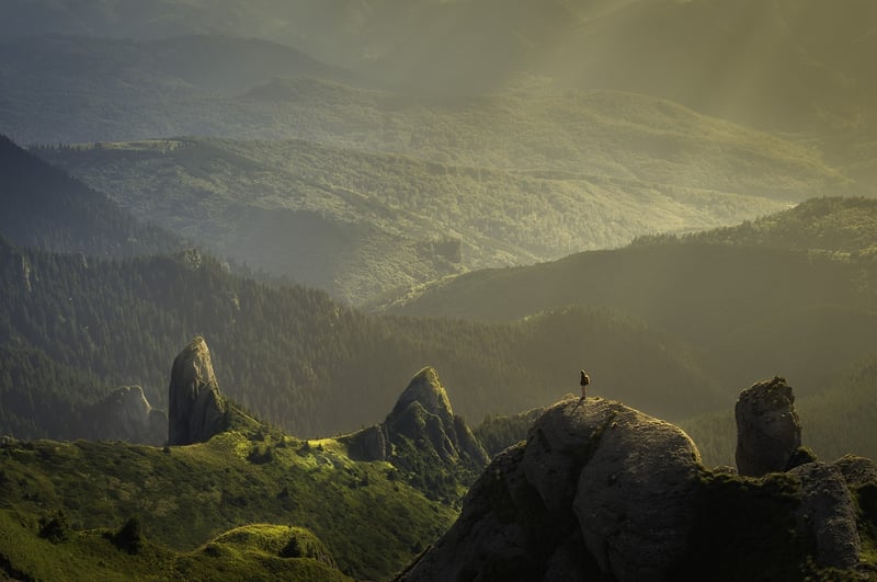 Hiking in the Wilderness